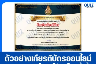 เกียรติบัตรออนไลน์ฟรี ทำข้อสอบวัดระดับความรู้ เรื่อง ความรู้พื้นฐาน Coding และ STEM ของผู้เรียนวิทยาศาสตร์ในศตวรรษที่ 21 2026