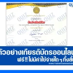 เกียรติบัตรออนไลน์ฟรี ทำข้อสอบวัดระดับความรู้ เรื่อง ภาษาอังกฤษเพื่อการเรียนรู้ชีวิตจริง Experiential English 2025
