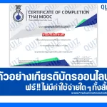 เกียรติบัตรออนไลน์ฟรี ทำข้อสอบวัดระดับความรู้ เรื่อง ภาษาอังกฤษเพื่อการพยาบาลพื้นฐาน English for Fundamental Nursing 2026